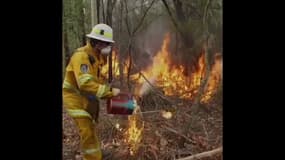 Incendies en Australie: pourquoi les pompiers combattent les feux par le feu  