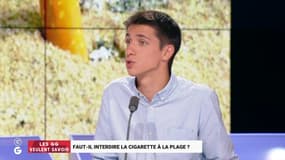 EN VIDÉO - Cigarettes sur la plage: "Les Français sont des malpropres et des gros dégueulasses" selon une "Grande Gueule" de RMC