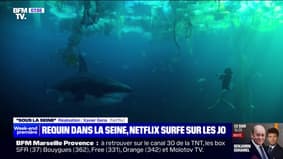 "Sous la seine", un film avec un requin en plein Paris disponible mercredi sur Netflix