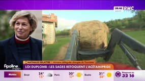 Loi Duplomb : "Respect total de la décision du Conseil constitutionnel"