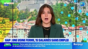 Le journal de 8h du jeudi 23 octobre 2025