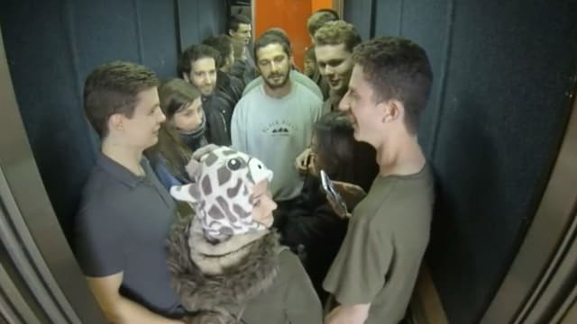 Shia LaBeouf dans sa nouvelle expérience "ELEVATE"