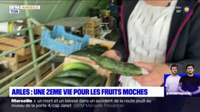Arles : une deuxième vie pour les fruits moches