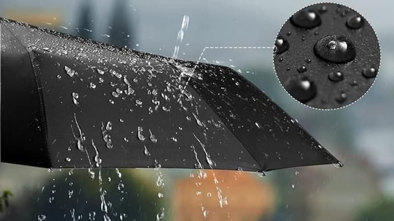 Ce parapluie à petit prix sera sûrement votre allié idéal pour l'automne 2023