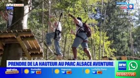 Bas-Rhin: une balade pour prendre de la hauteur au parc Alsace Aventure