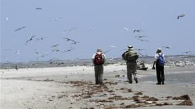 Equipe d'inspection des plages à Raccoon Island, en Louisiane, face aux risques de marée noire. Le gouvernement américain maintient la pression sur BP, qui éprouve des difficultés à colmater la fuite de pétrole après le naufrage d'une plate-forme pétroliè