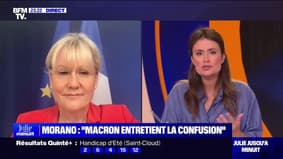 Nadine Morano (LR) : "La France n'intéresse plus LFI" - 04/06