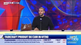 Faircraft produit du cuir in vitro