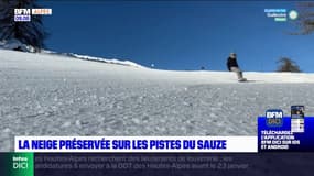 Alpes-de-Haute-Provence: la neige préservée sur les pistes du Sauze