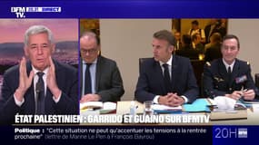 "Ne pas importer le conflit israélo-palestinien en France", déclare Henri Guaino après l'annonce d'Emmanuel Macron de reconnaître l'État de Palestine