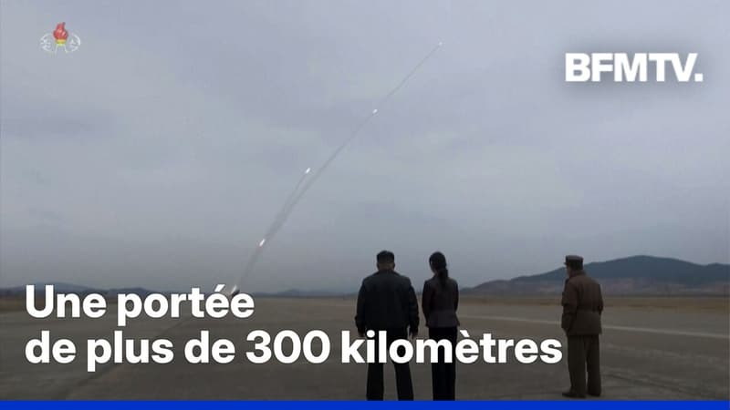 Corée du Nord: Pyongyang teste ses nouveaux lance-roquettes multiples de 600 mm