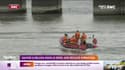 Béluga dans la Seine : une opération de sauvetage délicate