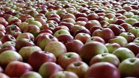 Préférer une pomme à un biscuit en cas de petite faim est non seulement souhaitable pour éviter le surpoids mais pourrait aussi réduire le risque de fractures, selon une étude publiée par l'American Journal of Clinical Nutrition. /Photo prise le 10 octobr