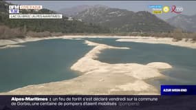 Alpes-Maritimes: le lac du Broc victime de la sécheresse