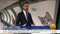 Des images de chats remplacent les publicités dans le métro de Londres – 14/09