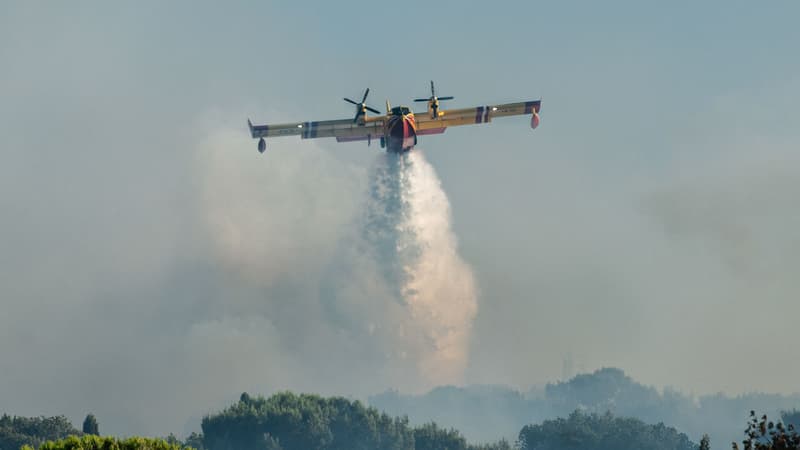 DIRECT. Feux de forêt: un nouvel incendie dans les Pyrénées-Orientales a parcouru 930 hectares dans la nuit, près de 600 pompiers mobilisés