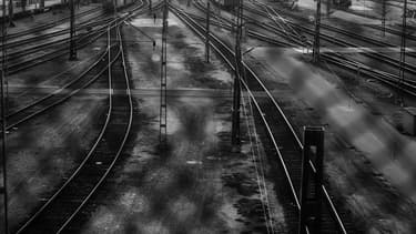 Les chutes de branches se sont produites notamment en gare de Rouen