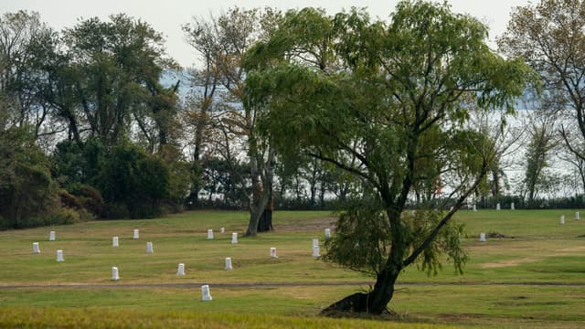Hart Island
