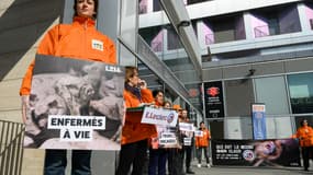 Des militants de l'association de défense des animaux L214 brandissent des pancartes lors d'une manifestation contre ce qu'ils considèrent comme des pratiques de maltraitance dans les élevages porcins, devant un supermarché E. Leclerc dans le 19e arrondissement de Paris, le 10 avril 2025.