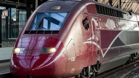 L'année 2019 a représenté la meilleure année de Thalys avec 550 millions d’euros de chiffre d’affaires.