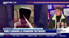 Émile Coddens, le vigneron Tiktokeur ! - 11/11