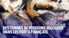  Des tonnes de poissons bloquées dans les ports français 