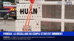 Départ des pandas du zoo de Beauval vers la Chine: le directeur du parc pointe "un couple emblématique"