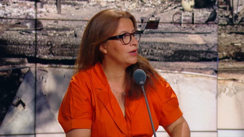 Incendies, canicule... "La France découvre ses premiers réfugiés climatiques", juge Cécile Duflot