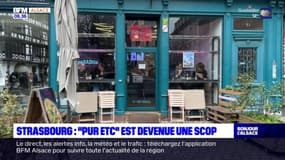 Strasbourg: comment l'entreprise "Pur Etc" est devenue une Scop?