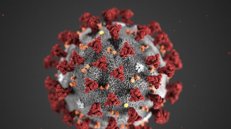 Une modélisation du coronavirus