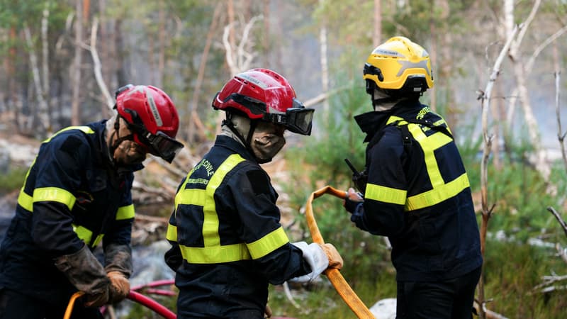 Incendie de Fontainebleau: trois reprises "modérées" de feu, les pompiers toujours à pied d'oeuvre