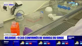 Belgique: 4 cas confirmés de variole du singe 