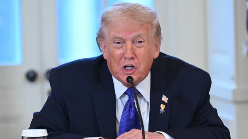 Donald Trump assure que les États-Unis utiliseront "la manière douce" ou "la manière forte" pour acquérir le Groenland