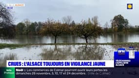 Crues: l'Alsace toujours en vigilance jaune