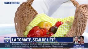 La tomate, star de l'été