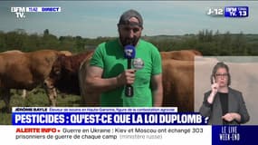 Crise agricole : vers un nouveau soulèvement ? - 25/05