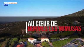 Au Cœur de Bormes les Mimosas