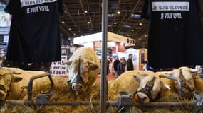 Le Salon de l'agriculture, dimanche 28 février