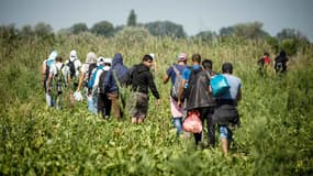 Un groupe de migrants se dirige vers le frontière hongroise depuis la Serbie
