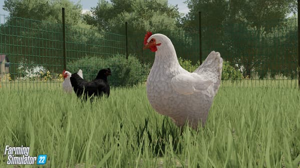 Des poules dans Farming Simulator 22.
