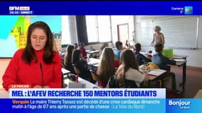 Métropole de Lille: l'AFEV recherche 150 mentors étudiants