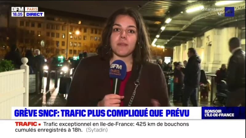 Grève à la SNCF: les voyageurs parisiens s'adaptent, certains partent plus tôt