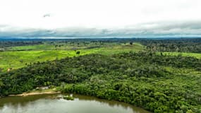 Cette vue aérienne montre une zone dégradée de la forêt amazonienne, près du territoire indigène Koatinemo, dans l'État du Para, au Brésil, le 12 juin 2025.