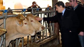 Lors d'un déplacement dans le Gers sur le thème de l'agriculture, Nicolas Sarkozy a annoncé que le gouvernement travaillait à la mise en place d'une nouvelle clause de sauvegarde pour interdire la culture du maïs transgénique Monsanto 810, invoquant pour