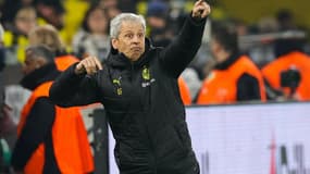 Lucien Favre, coach du Borussia Dortmund 