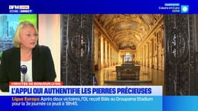 Protection des œuvres d'arts : une application lyonnais authentifie les pierres précieuses