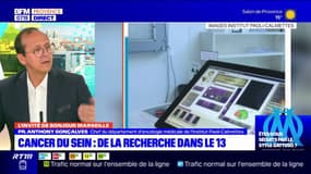 Bouches-du-Rhône: la lutte contre le cancer du sein à l'Institut Paoli-Calmettes