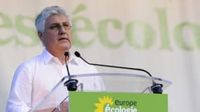 C'est jeudi lors de l'université d'été des Verts que Philippe Martin, ministre socialiste de l'Environnement, a annoncé la création d'une « contribution climat-énergie ».