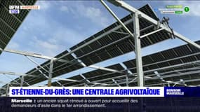 Bouches-du-Rhône: une centrale agrivoltaïque à Saint-Etienne-du-Grès