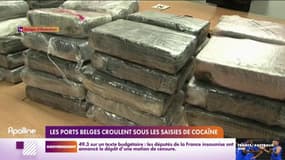 Les ports belges croulent sous les saisies de cocaïne 
